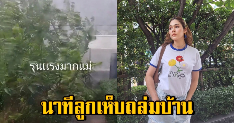 นาทีพายุลูกเห็บ ถล่มบ้าน ชมพู่ อารยา ต้นมะกรูด ของแม่หักโค่นต่อหน้า