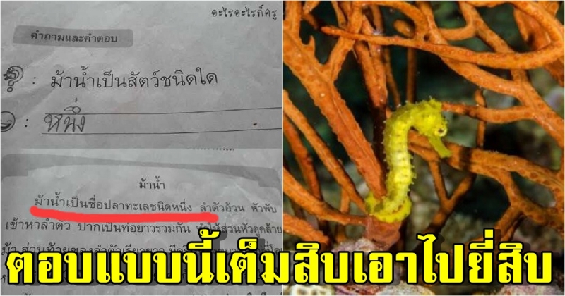 เต็มสิบเอาไปยี่สิบ หลังเด็กนร.ตอบคำถาม ม้าน้ำเป็นสัตว์ชนิดใด