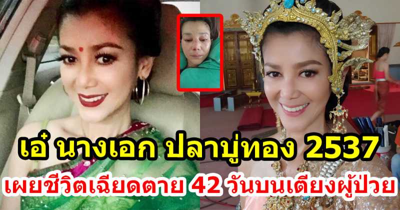 เอ๋ อัจฉรา นางเอก ปลาบู่ทอง เผยรอดชีวิตหวุดหวิด นอนบนเตียง 42 วัน