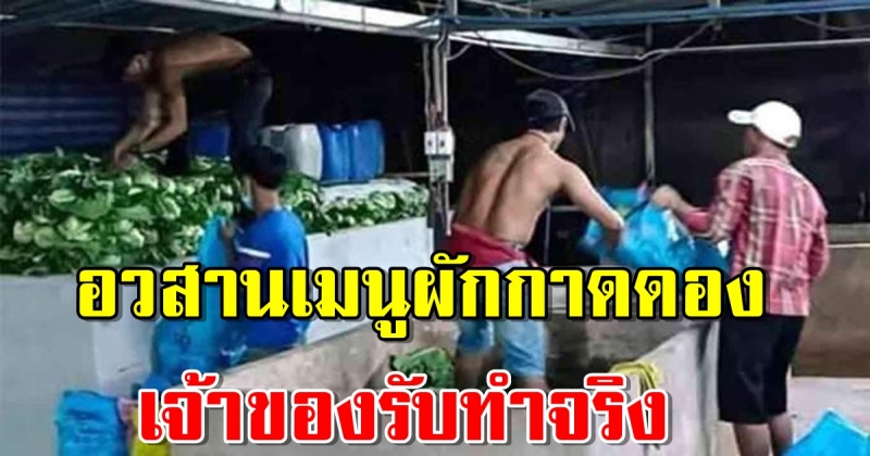 ส า ธ า ร ณ สุ ข จั ง ห วั ด ส ร ะ แ ก้ ว