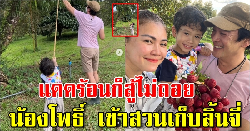 ชาคริตพาน้องโพธิ์ เข้าสวนเก็บลิ้นจี่